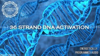 36 Strand DNA Activation  Energetically Programmed Audio  Maitreya Reiki™ [upl. by Christmas]