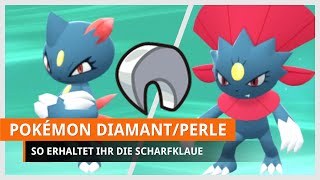 Pokémon Strahlender Diamant amp Leuchtende Perle Scharfklaue finden amp Snibunna bekommen [upl. by Helm]