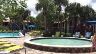 DoubleTree by Hilton Orlando at SeaWorld Hotel Tour [upl. by Annotahs]