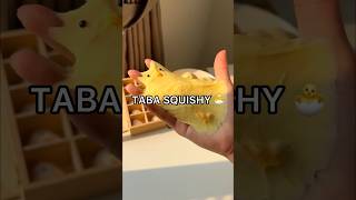 RESULTS I Made a VIRAL TABA SQUISHY 😱😳 How to Make a Taba Squishy Tutorial [upl. by Aicilf]