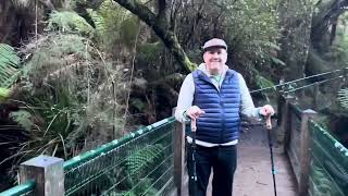 Sherbrooke Falls Dandenong Ranges National Park Victoria Australia [upl. by Kristie730]