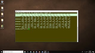 Linux tip How to use the od command [upl. by Areehs439]