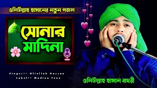 ওলিউল্লাহ হাসানের নতুন গজল 🥰🥰  oliullah hassan gojol  oliullah hassan new gojol 2024  new gojol [upl. by Brooking]