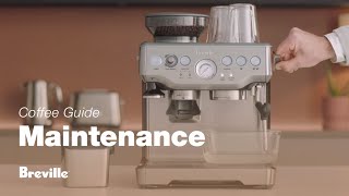 The Barista Express®  Our tutorial on how to descale your espresso machine  Breville USA [upl. by Nus]