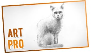 How to draw a CAT 🐈 Easy and step by step [upl. by Nyra582]