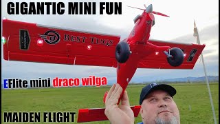 Micro DRACO WILGA 800mm BNF 4S power MAIDEN FLIGHT [upl. by Ztnahc]