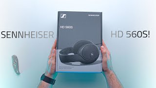 FIRST LOOK at the BRAND NEW HD560S  First Impressions [upl. by Lleral]