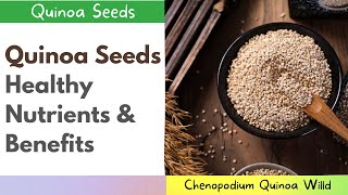 ◼Quinoa Seeds Chenopodium Quinoa Willd Healthy Nutrients and Benefits  Benefits of Quinoa Seeds👈 [upl. by Badger]