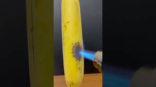 Powerful Lighter vs Banana [upl. by Coulter421]