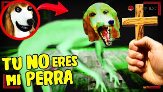 MI PERRA SABE HABLAR LA GRABE con mis CÁMARAS DE SEGURIDAD😨☠️ CORRE DE NOCHE SKINWALKER MALDIT0 [upl. by Ping43]