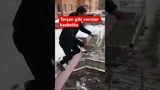 Tavşanın cevizleri kayboldu [upl. by Aicilf]