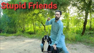 Types of stupid friends part 2 Buner vines new funny video [upl. by Idaf]