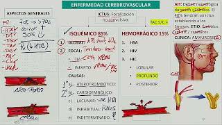 Neurología  Enfermedad cerebrovascular [upl. by Kina]