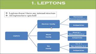 Elementary Particles 1 Classification of Elementary Particles [upl. by Eirol]