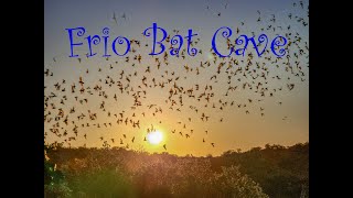 Frio Bat Cave in Concan Texas [upl. by Oz582]