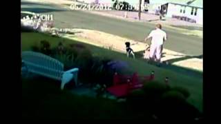 CCTV  Pit Bull attacks 2 dogs on walk caught on tape [upl. by Naerol]