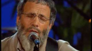 Yusuf Islam  The Beloved [upl. by Zeugirdor]