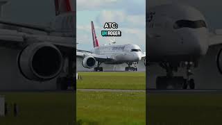 Pilot JUMPS OUT Of Plane MIDFLIGHT 😨 plane planes aviation avgeek aviationlovers aircraft [upl. by Hay519]