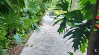 hotel Xcaret resort in river jump room [upl. by Lammond463]