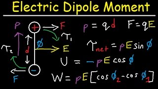 Electric Dipole Moment Force Torque Potential Energy Work Electric Field Physics [upl. by Kries328]