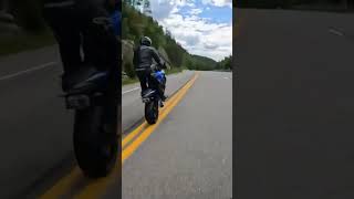 gsxs 1000 wheelie [upl. by Esydnac]