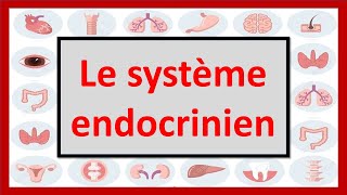 🔴ENDOCRINOLOGIE  LE SYSTÈME ENDOCRINIEN EN 06 MINUTES [upl. by Eleanora]