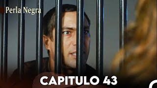 Perla Negra Capitulo 43 Doblado En Español [upl. by Kirchner]