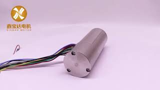 Coreless brushless dc motor with braker [upl. by Adrahs701]