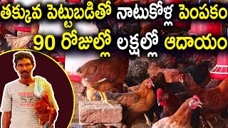 Natukodi Farming Business నాటుకోళ్ల బిజినెస్ Country Chicken Farming Business Tips l Poultry Farming [upl. by Rothwell]