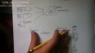 GLUCOCORTICOIDES 910 sindrome de cushingavi [upl. by Ekle]