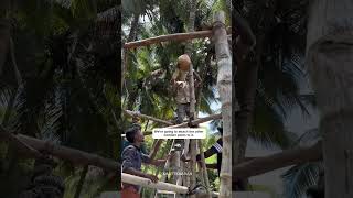 Roofing technique for vernacular hut [upl. by Arahat]