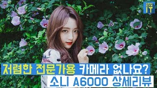 최마태 저렴한 전문가용 카메라는 없나요 소니 A6000 상세리뷰 feat 리플s 진아 혜지  gear [upl. by Lydia840]