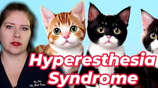 Vet Advice on Identifying and Treating Feline Hyperesthesia Syndrome [upl. by Eirak]