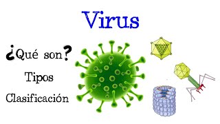 🦠 ¿Qué son los Virus 🦠 Tipos y Clasificación 🦠 Fácil y Rápido  BIOLOGÍA [upl. by Dittman]