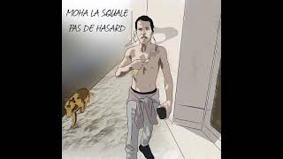 Pas de hasard  Moha La Squale  instrumental [upl. by Manheim846]