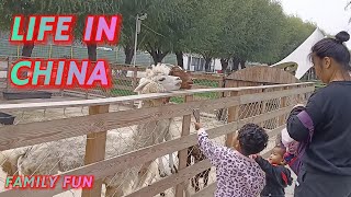 Life in China Mixed Family Time Fun in Beijing Family Kids Fun AmusementPark Children Joy [upl. by Tychon795]