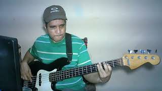 Soltera  Shakira Bass Cover 2 [upl. by Fatsug]