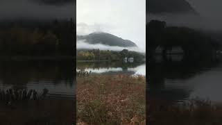 Killarney National Park trending viralshort entertainment [upl. by Fredrika]