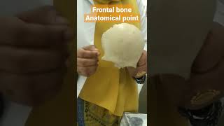 Frontal bone anatomy head ampneck [upl. by Napas358]