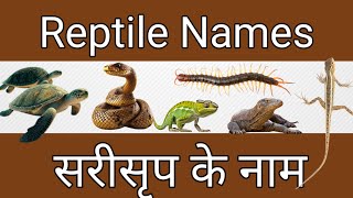 Reptile Names in Hindi and English। रेगने वाले जानवरों के नाम।। [upl. by Nylatsirk105]