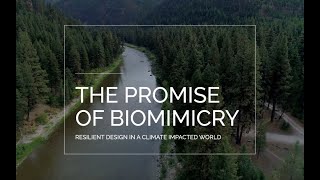 quotThe Promise of Biomimicryquot  Innovation and Design Inspired by Nature [upl. by Eniffit]