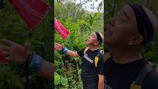 Purak pakou hill loop trail shortvideo adventure survival [upl. by Sara-Ann]