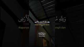 QS ALMAIDAH foryou subscribe fypage fyp motivation murrotal [upl. by Patrich]