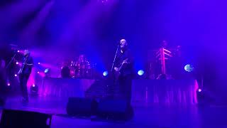 Skin Deep  The Stranglers  50th Anniversary Tour Royal Albert Hall 26032024 [upl. by Genie]