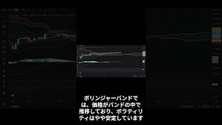 ビットコイン市場最新動向！テクニカル＆ファンダメンタルニュース総まとめ！ビットコイン 仮想通貨 清算 オプション取引 ファンダメンタル分析 BTC 市場動向 [upl. by Salba]