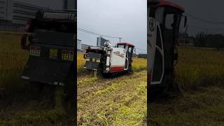 kubota ER108 paddy harvester machines 😱😱 shorts harvester paddy [upl. by Elpmid]