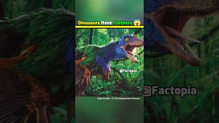 Dinosaurs Had Feathers 😱 shorts [upl. by Hgierb]