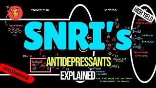 SNRI Mechanism of action Serotonin Norepinephrine Reuptake Inhibitors [upl. by Dorran360]