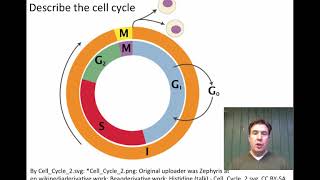 Honors Biology 33 All Cells Come from PreExisting Cells [upl. by Pennebaker867]