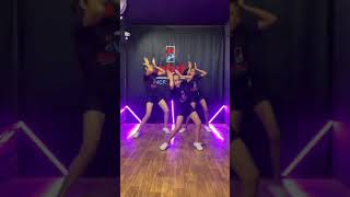 Pani levan mein gayi  Haryanvi Song  Salute Dance Academy  panilevanmeingayi haryanvisong [upl. by Netsrek]